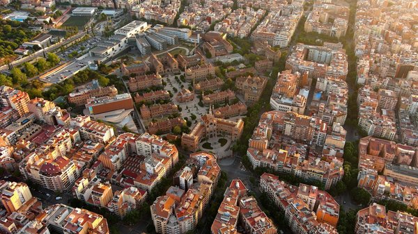 What Are the Health Effects of Long-Term Herbal Supplementation?